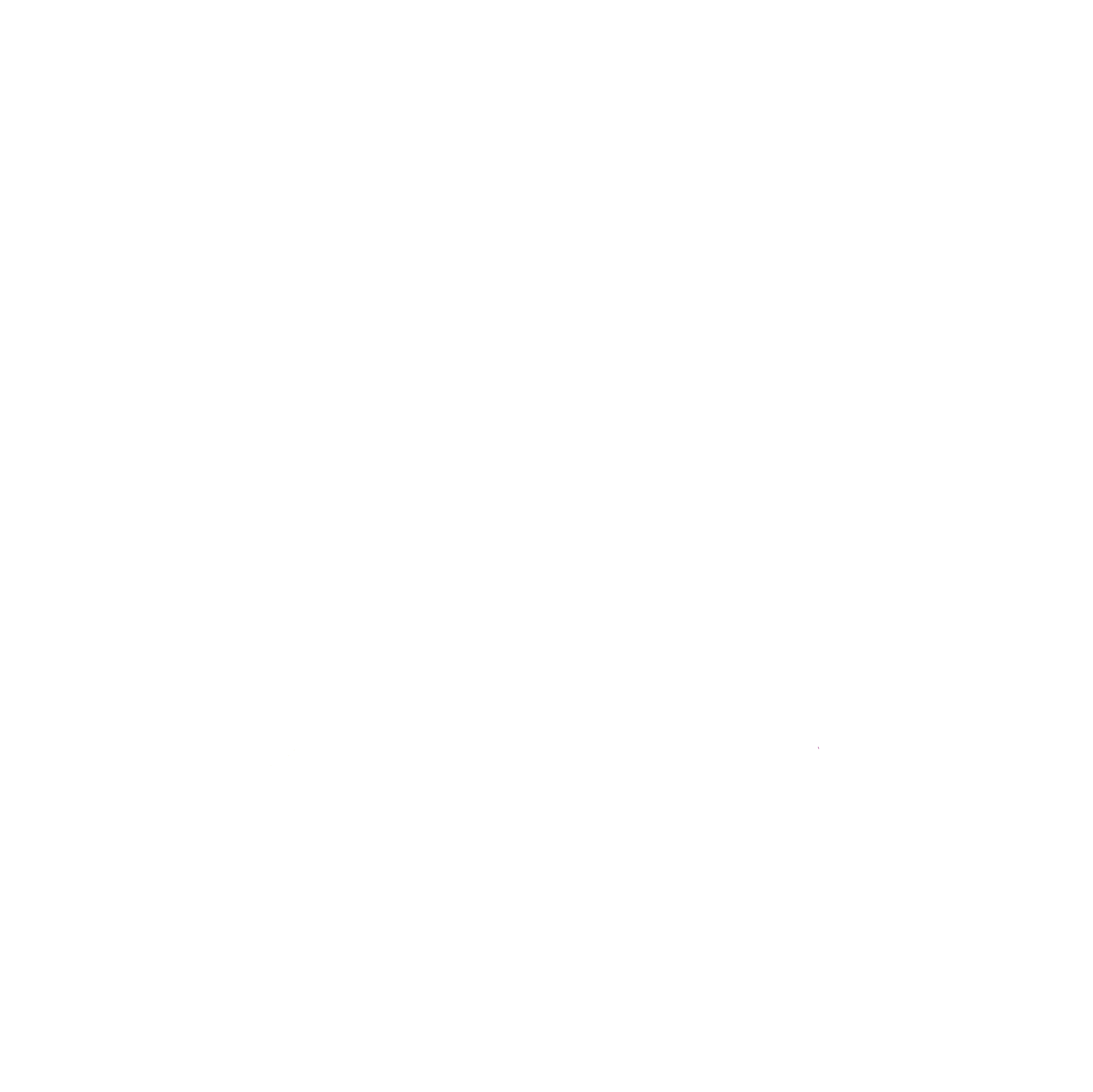 Logo: Sichere Wiesn in weiß